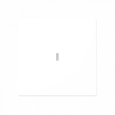 NIESSEN 2CLA890139A1101 2CLA890139A1101 8901.39 BL NIESSEN Tecla interrupt con visor + marco 1V BL
